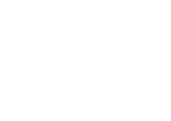 gds logo light